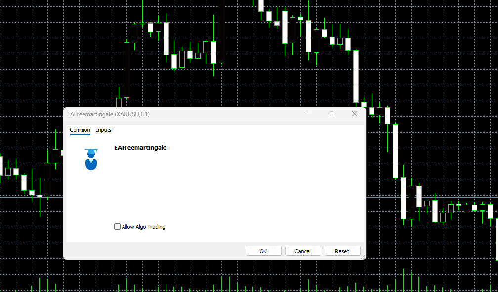 EAFreemartingale settings window after dragging the EA onto an MT5 chart